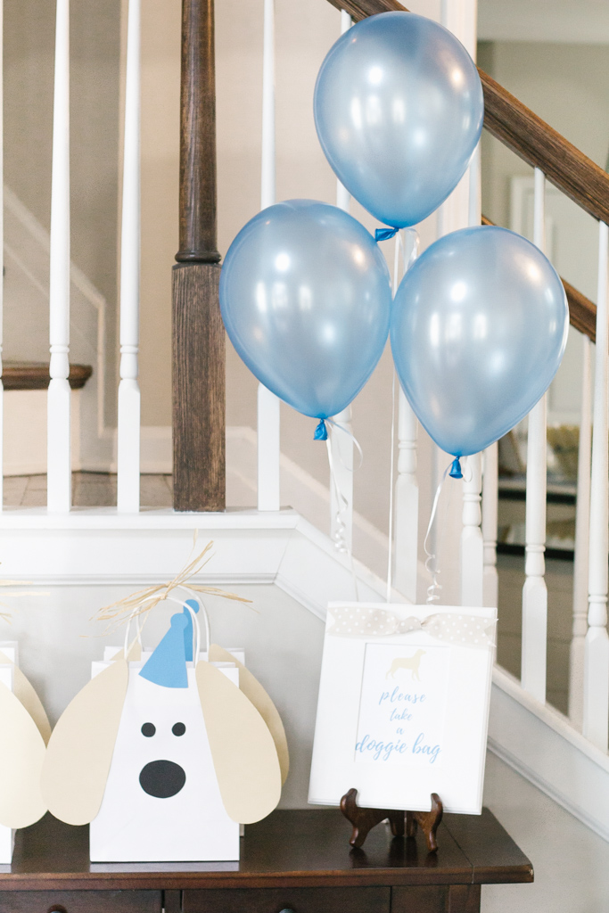 Snips and Snails and Puppy Dog Tails Birthday Party John Davis turns 3