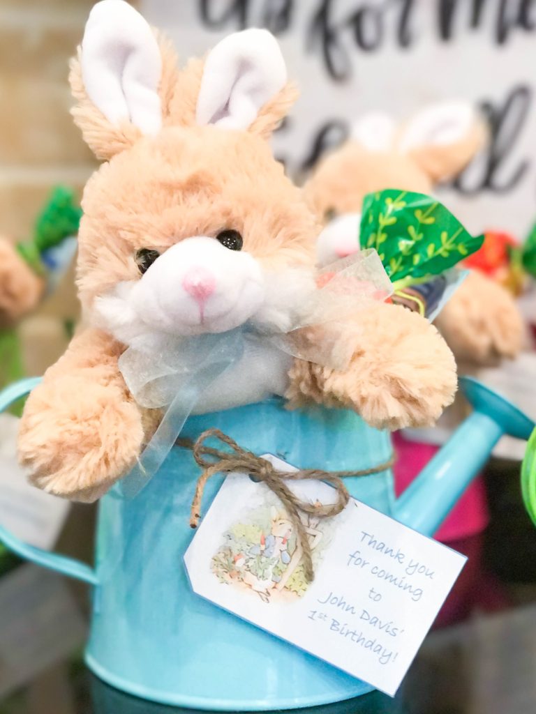 peter rabbit themed first birthday party party favor ideas
