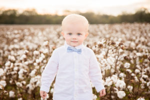 Cotton Field Family Photos - Home and Hallow