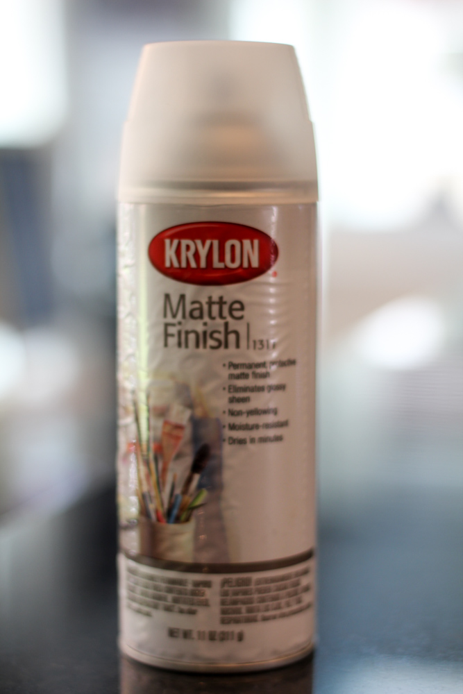 one bottle of krypton matte finish permanent protective finish spray