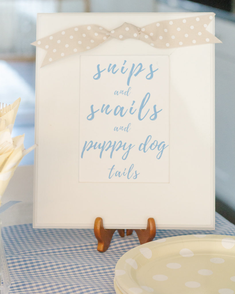 snips and snails and puppy dog tails birthday party