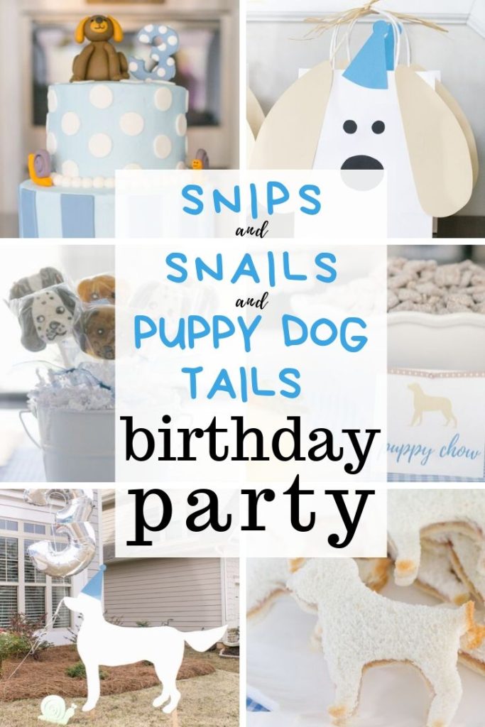 snips and snails and puppy dog tails birthday party ideas